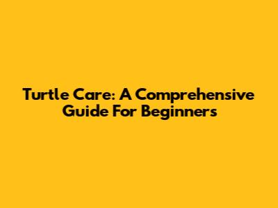 Turtle Care: A Comprehensive Guide For Beginners