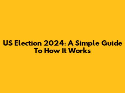 US Election 2024: A Simple Guide To How It Works