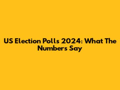 US Election Polls 2024: What The Numbers Say