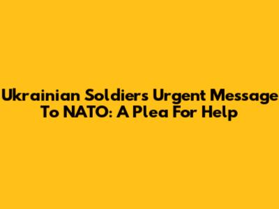 Ukrainian Soldier's Urgent Message To NATO: A Plea For Help