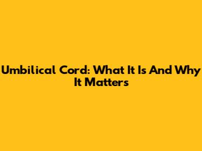 Umbilical Cord: What It Is And Why It Matters