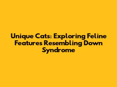 Unique Cats: Exploring Feline Features Resembling Down Syndrome