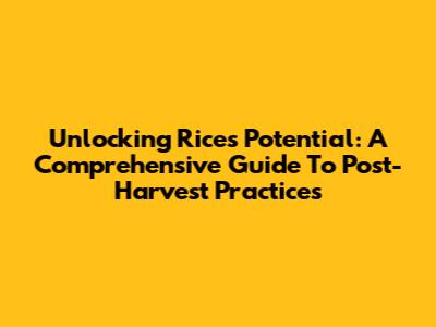 Unlocking Rice's Potential: A Comprehensive Guide To Post-Harvest Practices