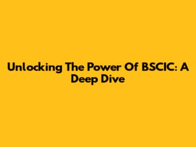 Unlocking The Power Of BSCIC: A Deep Dive