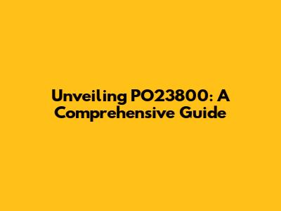 Unveiling PO23800: A Comprehensive Guide