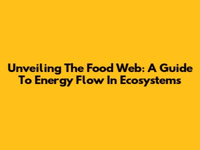 Unveiling The Food Web: A Guide To Energy Flow In Ecosystems