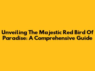 Unveiling The Majestic Red Bird Of Paradise: A Comprehensive Guide
