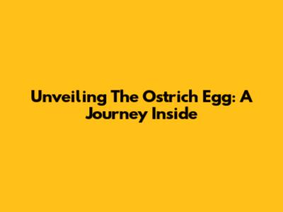Unveiling The Ostrich Egg: A Journey Inside