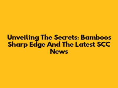 Unveiling The Secrets: Bamboo's Sharp Edge And The Latest SCC News
