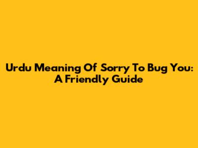 Urdu Meaning Of 'Sorry To Bug You': A Friendly Guide