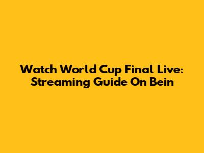 Watch World Cup Final Live: Streaming Guide On Bein