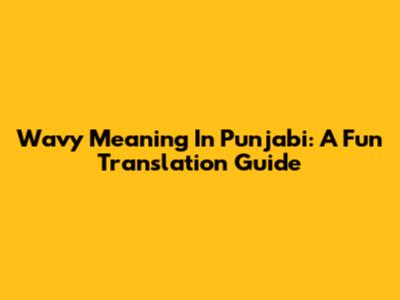 Wavy Meaning In Punjabi: A Fun Translation Guide