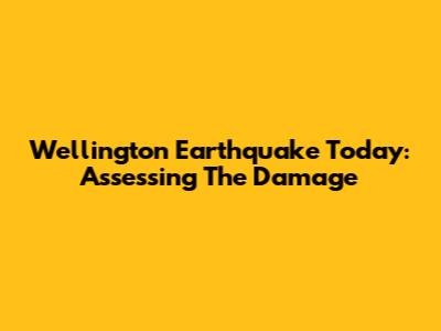 Wellington Earthquake Today: Assessing The Damage