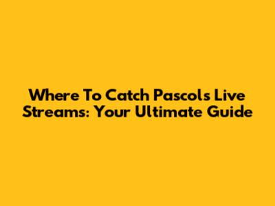 Where To Catch Pascol's Live Streams: Your Ultimate Guide