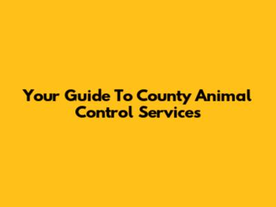 Your Guide To County Animal Control Services