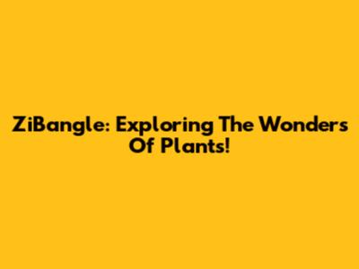 ZiBangle: Exploring The Wonders Of Plants!